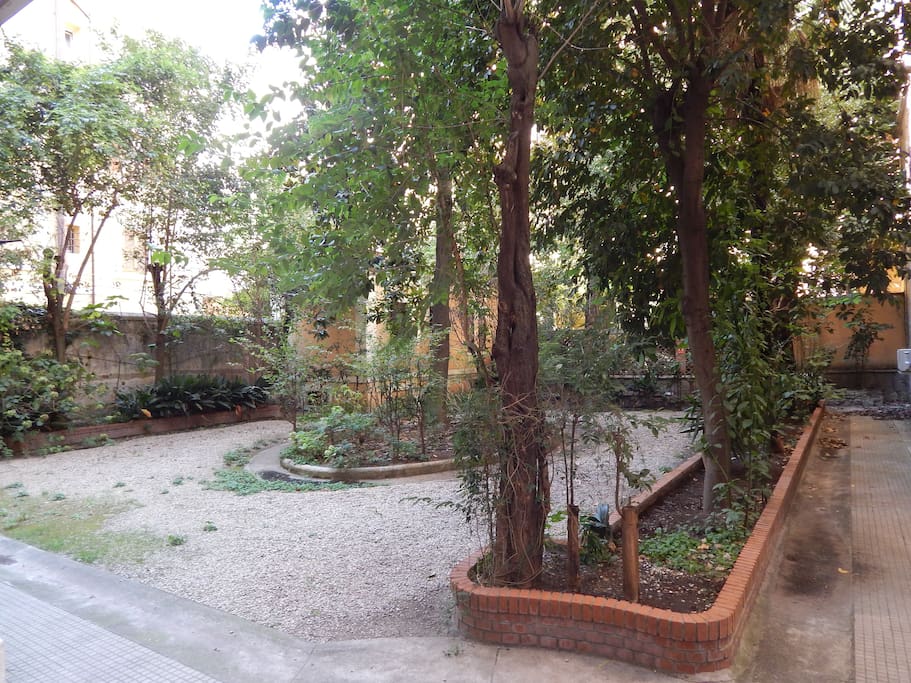 Small inner garden of building.
