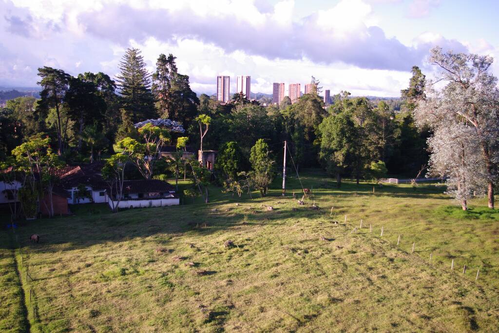 Countryside view
