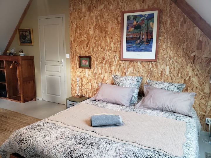 Habitación 1