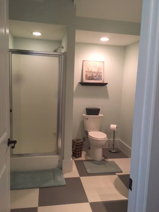 Guest Bathroom - Shower