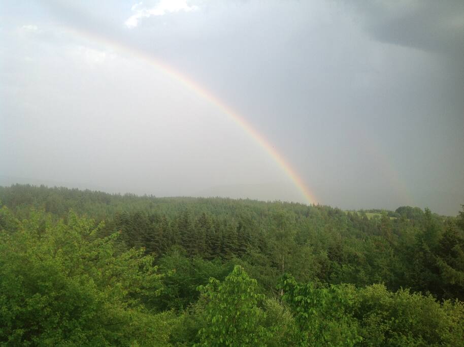 Rainbow after the rain.