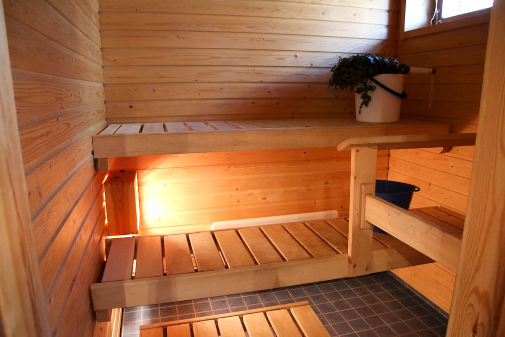 Real Sauna in our apartment