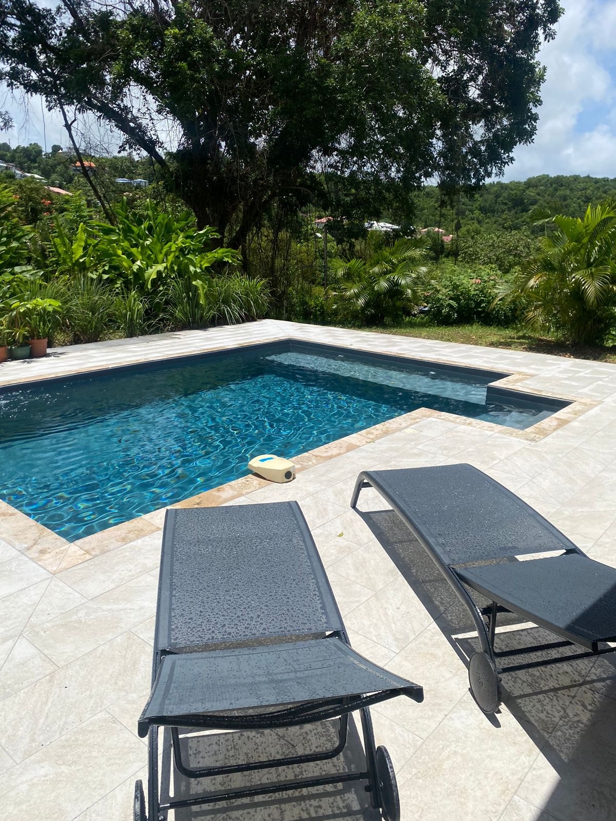 A salt-water pool is surrounded by a tiled patio and lush tropical plants. Two lounge chairs are positioned beside the pool, inviting relaxation under the sun. The serene setting is complemented by a backdrop of gently rolling hills.
