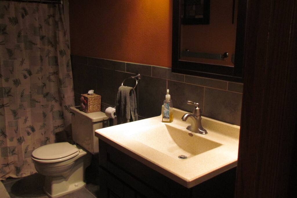Bedroom bathroom
