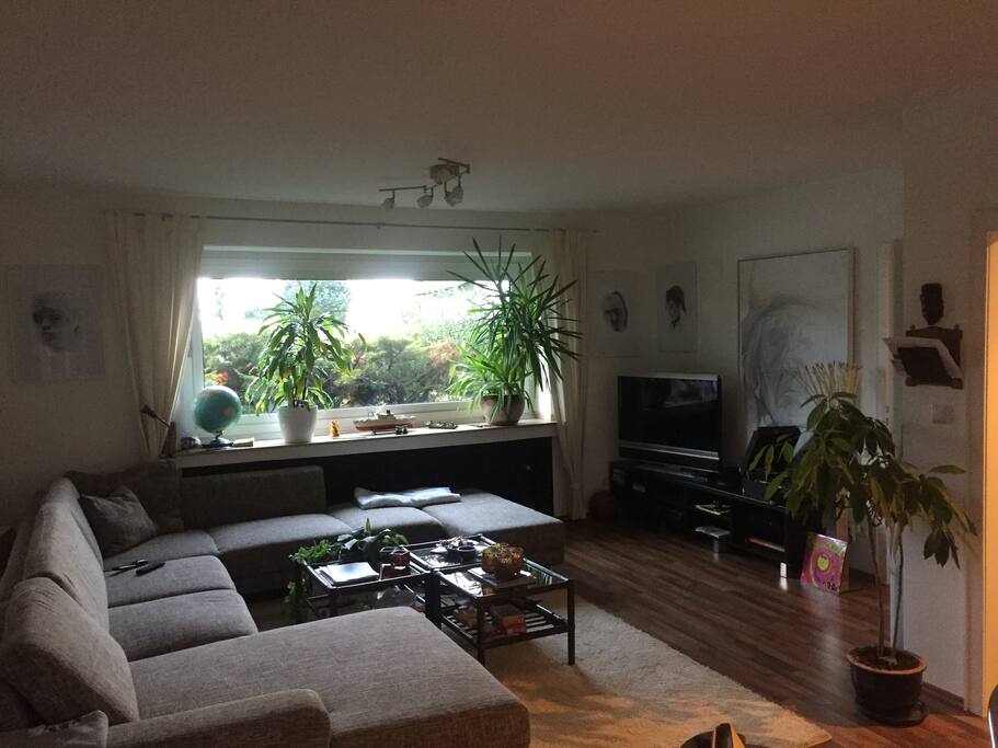Living room w/ couch/bed