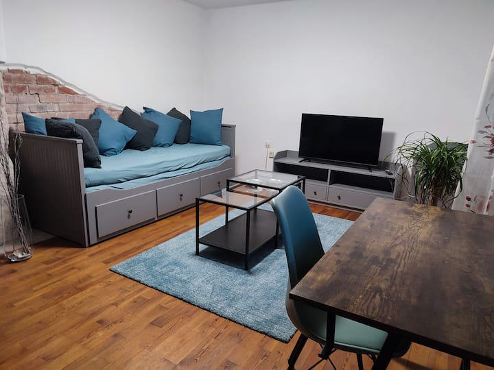 Gemütliche Zwei -Zimmer-wohnung Am Regnitzufer - バンベルク
