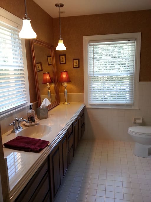 Master suite bathroom