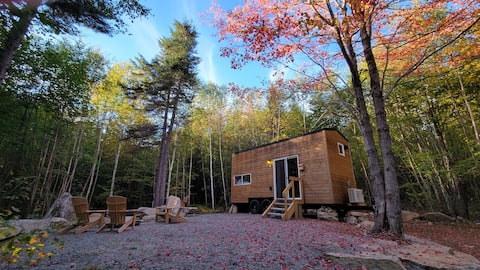 Trailside Stays- Tiny House in the Woods-Chickadee