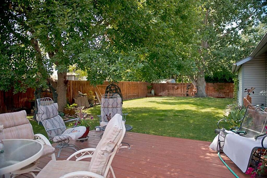 Comfortable Back Yard