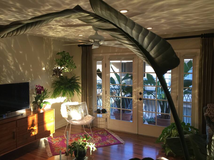Magic Hour at our bungalow!