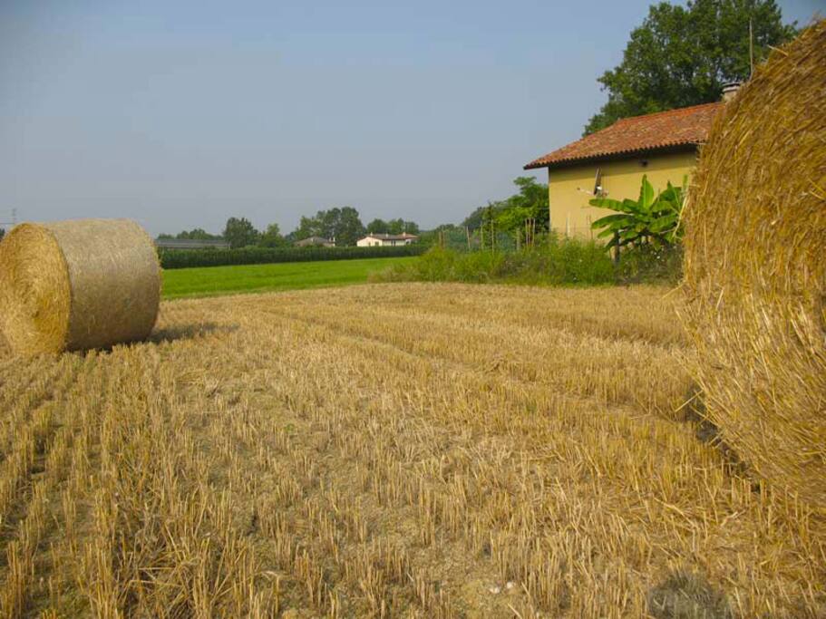 esterno campagna