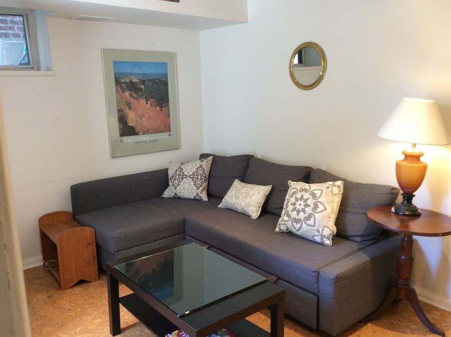 Living room with sofa bed