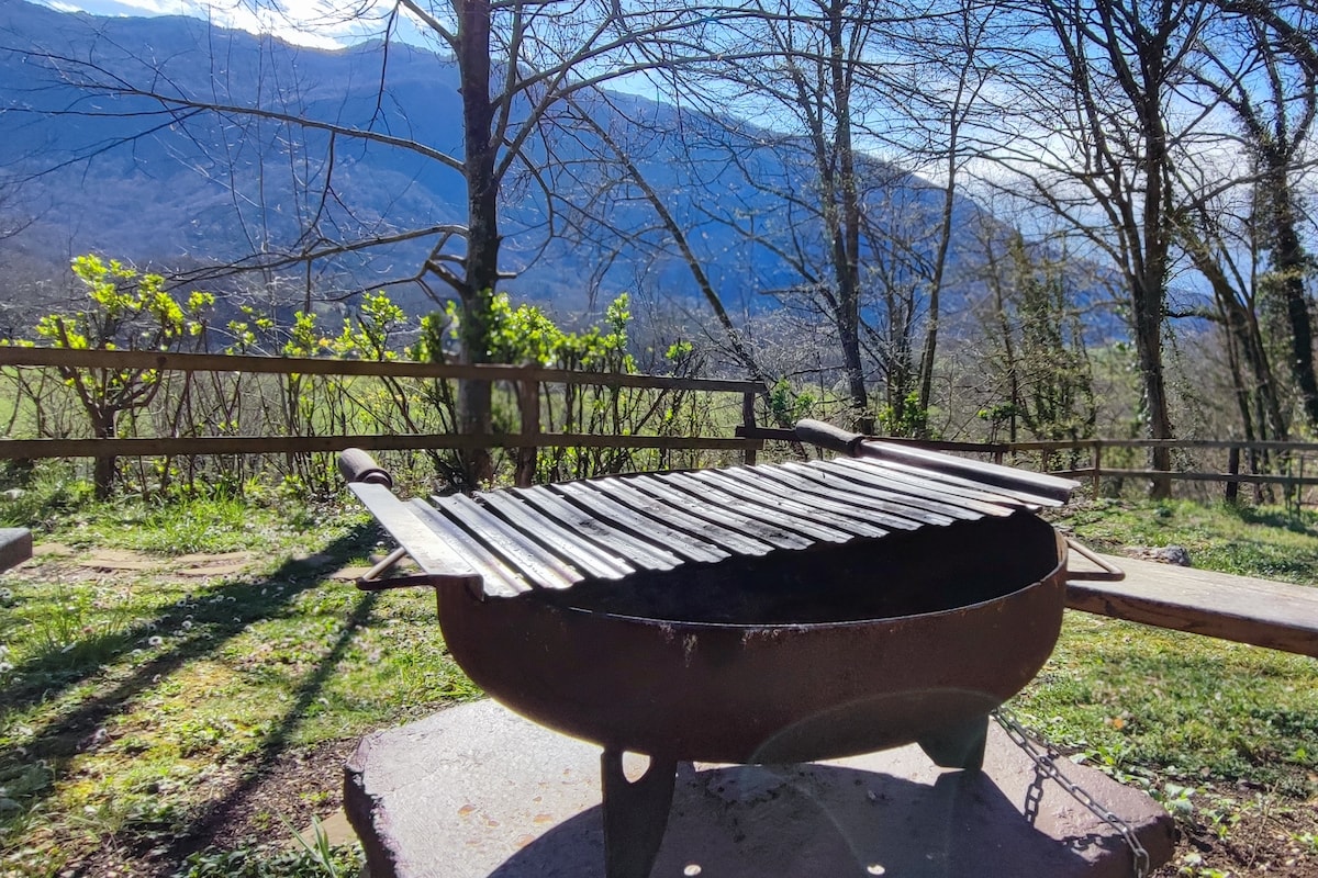 A rustic grill is positioned on a stone platform, surrounded by lush greenery and framed by bare trees. The majestic mountains rise in the background, providing a scenic view of nature. Sunlight filters gently through the branches, creating a peaceful atmosphere.