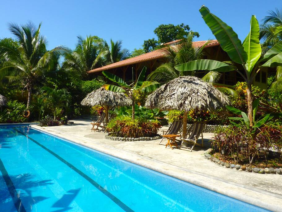 Beautifully landscaped pool area