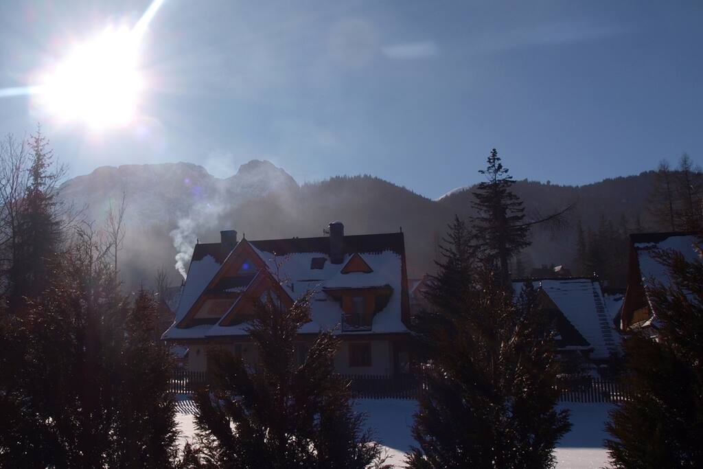 Window view