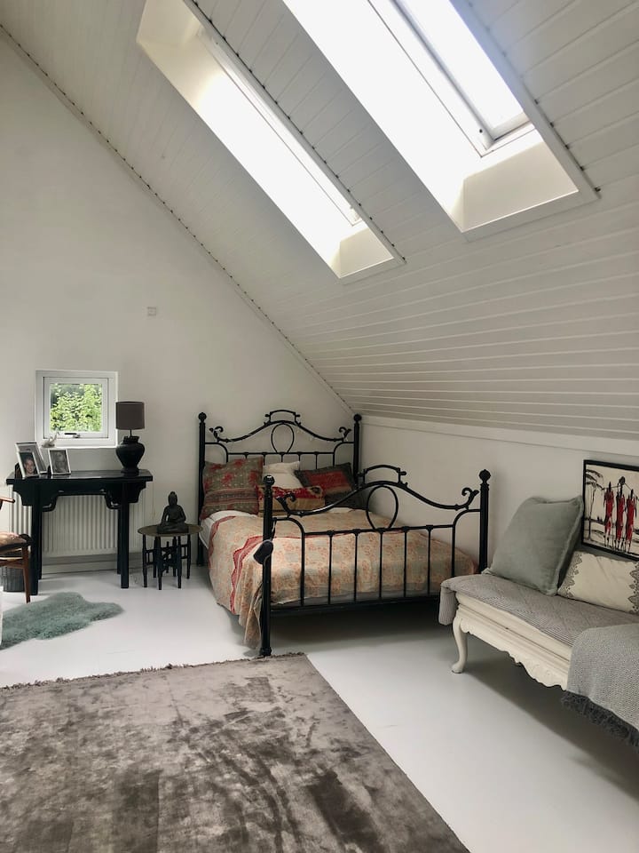 Голяма стая за гости/деца със самостоятелна тоалетна и баня 