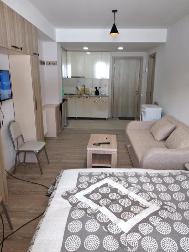 An inviting studio space showcases a light wood decor with a cozy sofa placed adjacent to a simple coffee table. A small kitchen area is visible, equipped with essential appliances. The sleeping area features a patterned bedding set atop a spacious bed, adding a homey touch.