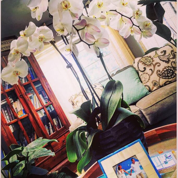 beautiful sunroom