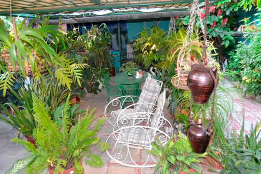 Patio del hostal, donde pueden desayunar, disfrutar de un refrescante jugo de frutas o un café cubano