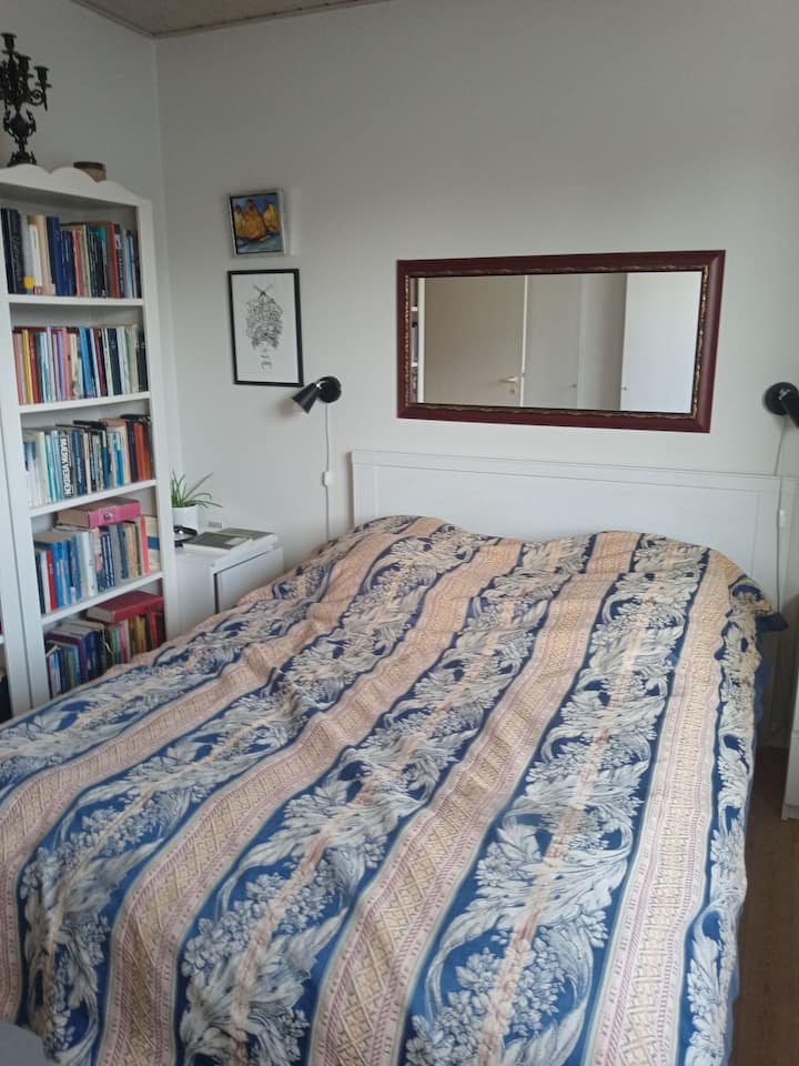 غرفة نوم بسرير مزدوج واسع 