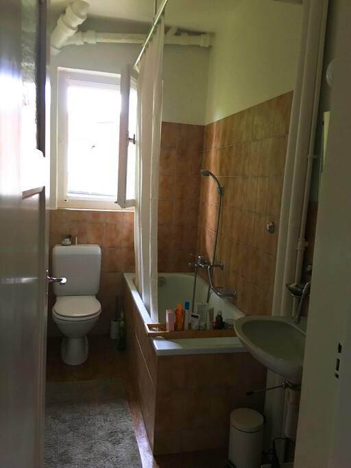 The bathroom