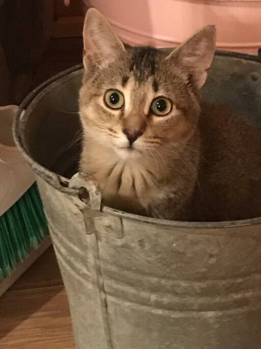 I'm Zsa zsa. I'm a princess, please don't let me out.