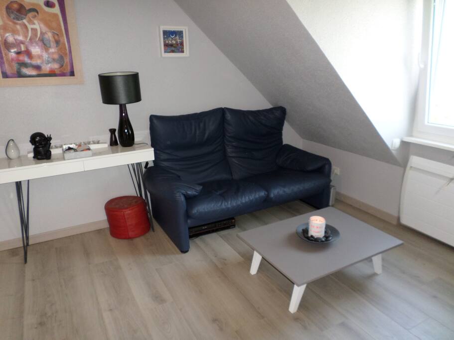 Canapé cuir/Leather Sofa