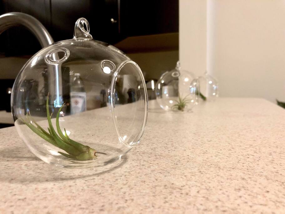 Breakfast Counter