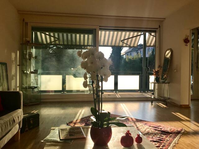 Listing in Basel-Stadt (Unincorporated)