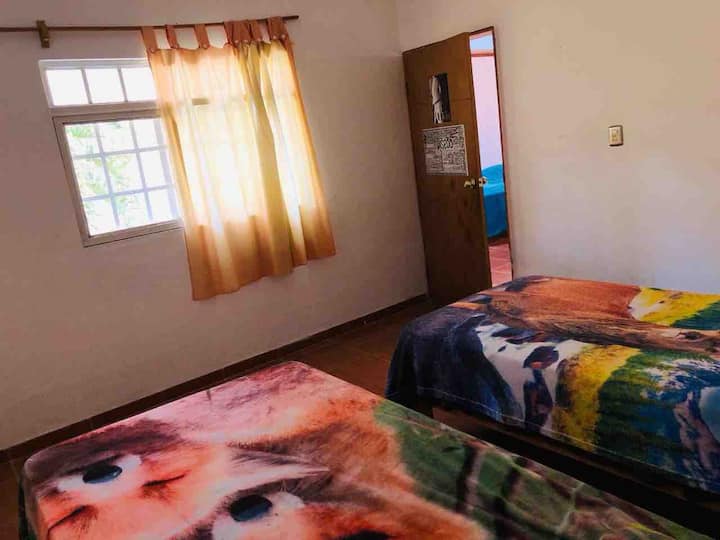 房间配备2张双人床，
带风扇:)