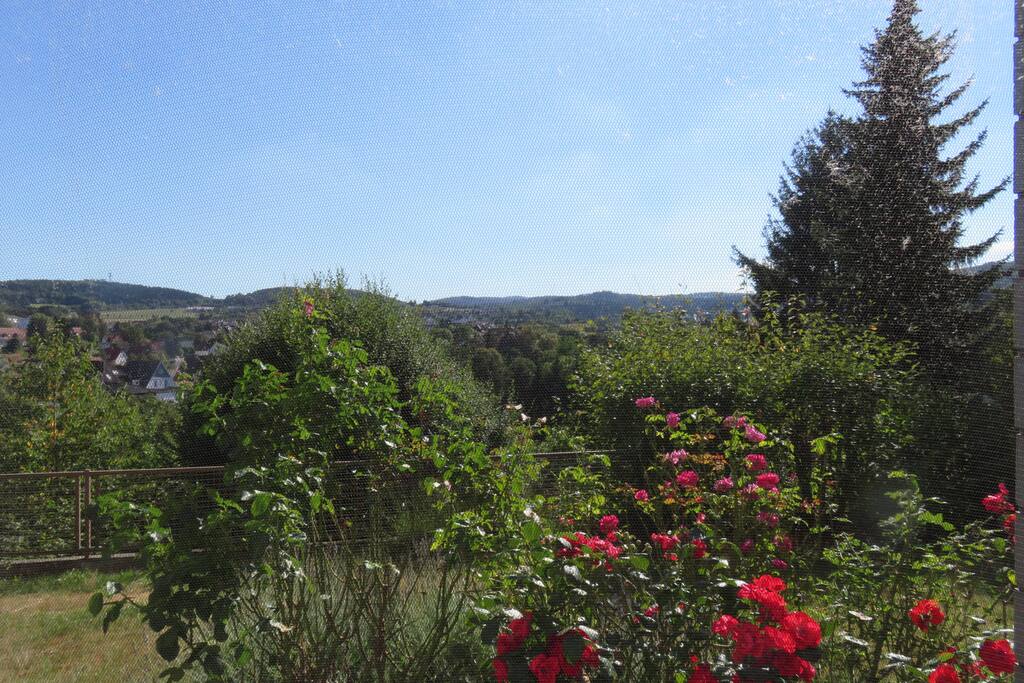 Blick aus der Küche