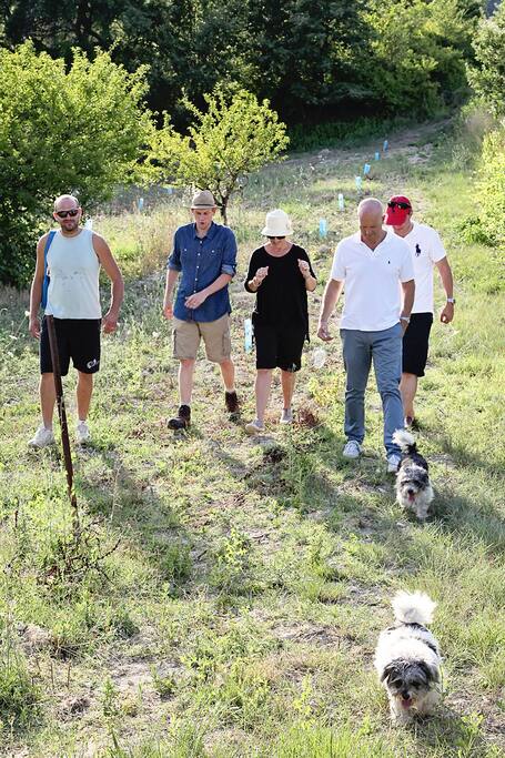 Airbnb Avignon Vacation Rentals Places To Stay Provence