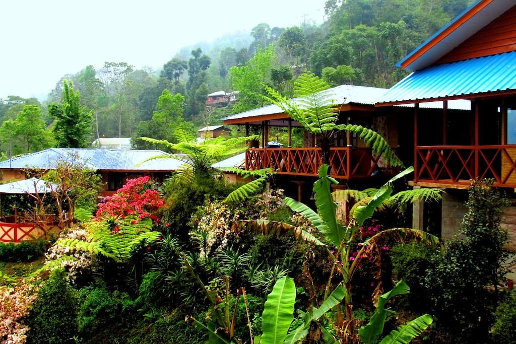 Overview of the homestay