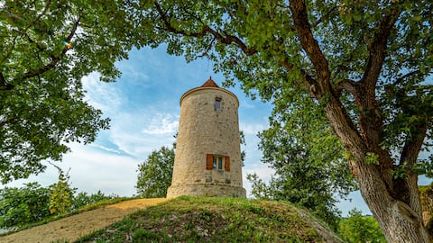 Charming rental - Le Moulin de Lili - Bergerac
