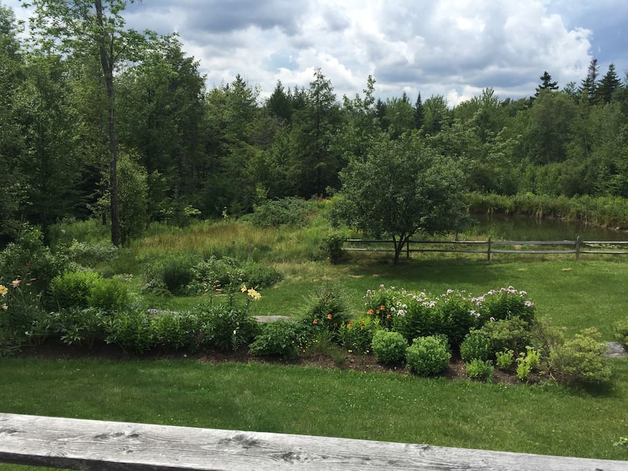 Back yard view