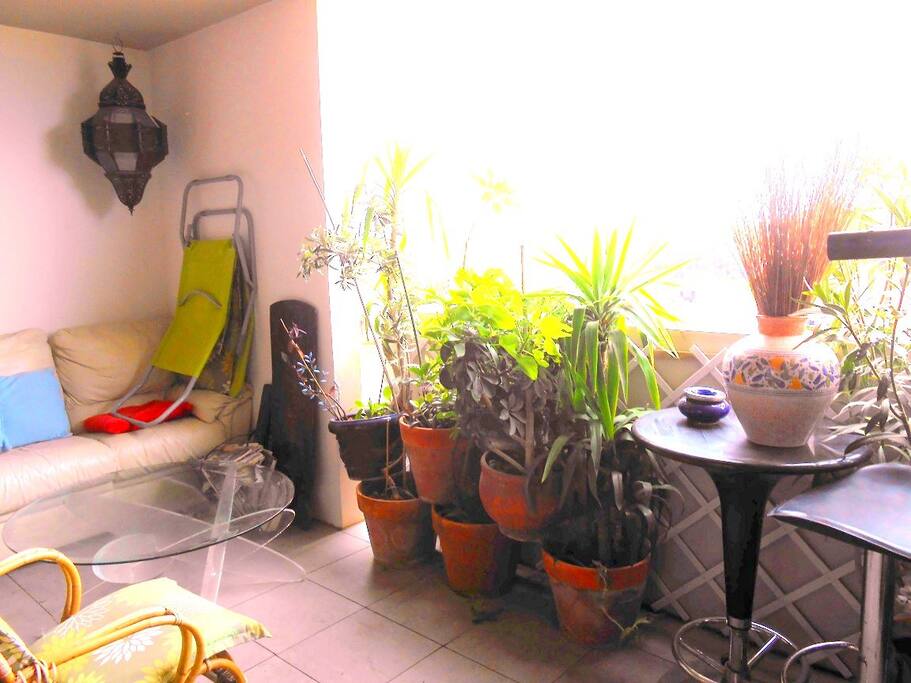 Terrasse