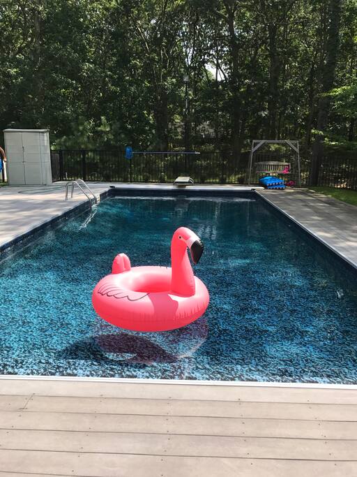 Our pool is surrounded by trees and a wonderful place to relax and swim or float around on our flamingo! *POOL IS CLOSED FOR SEASON*