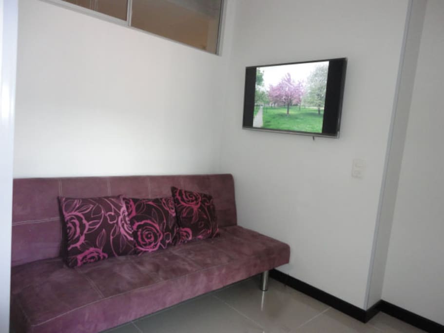 SALON ESTAR CON TV