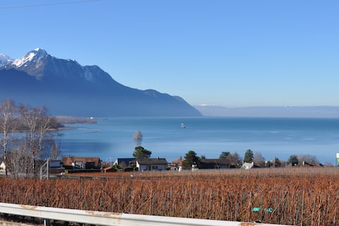 Joli studio avec vue sur le lac léman