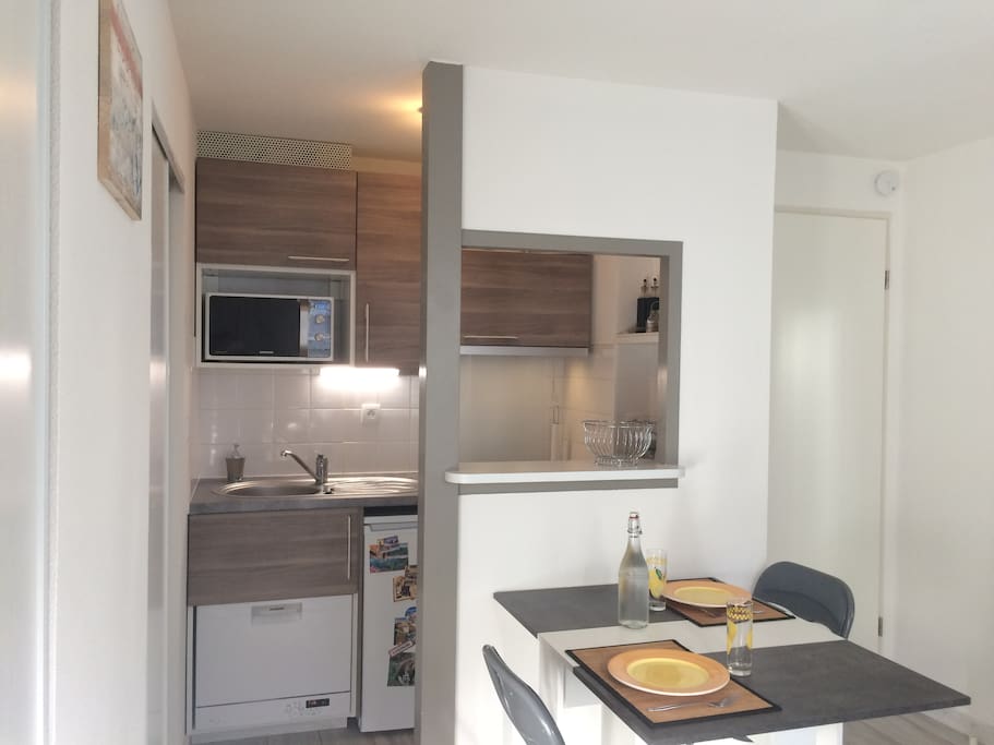 Cuisine avec lave-vaisselle, plaque induction, micro-ondes, hotte, appareil à fondue et raclette, vaisselle pour 4 personnes.