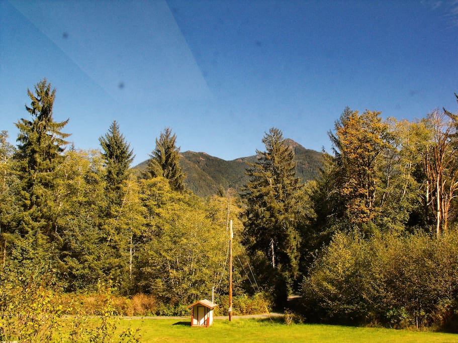 View from your room's window