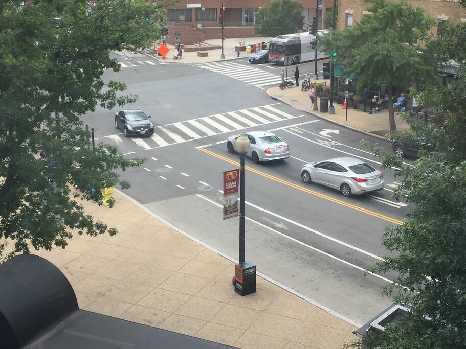 view from common area window