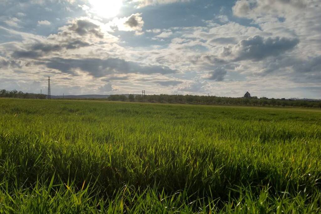 Alrededores de la Finca