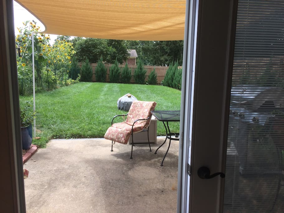 Looking out from your suite in the summer...
