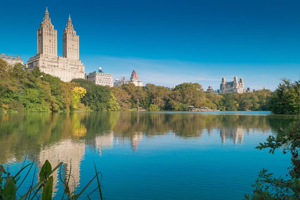 Central Park: 1 minute walk!