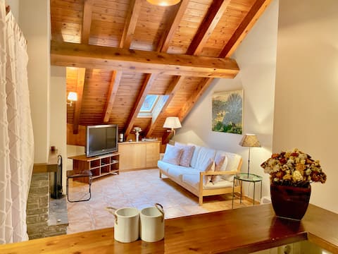 Apartment Attic with Roní View (Portainé)