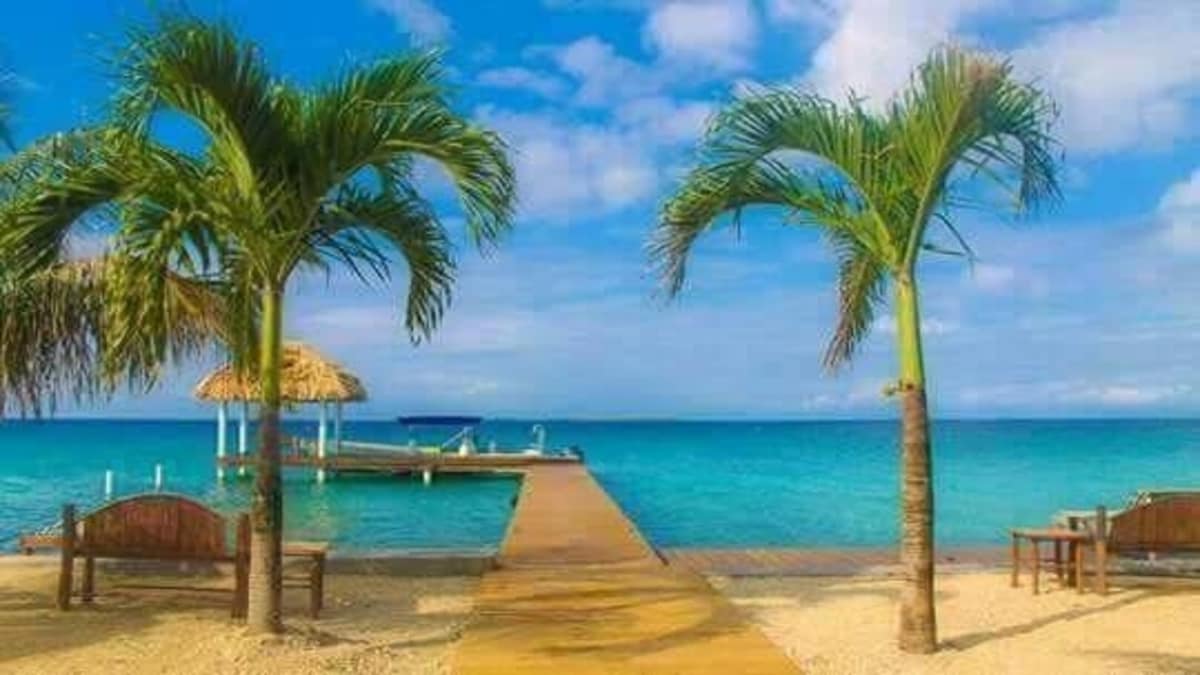 The image captures a scenic view of the ocean and a wooden dock extending into clear turquoise waters. Flanking the dock are two palm trees, with sandy beach visible in the foreground and a thatched-roof structure in the background, creating a serene coastal atmosphere.