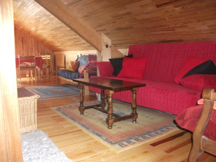 Chalet Bois Au Pied Du Domaine De L'alpe D'huez - Le Bourg-d'Oisans