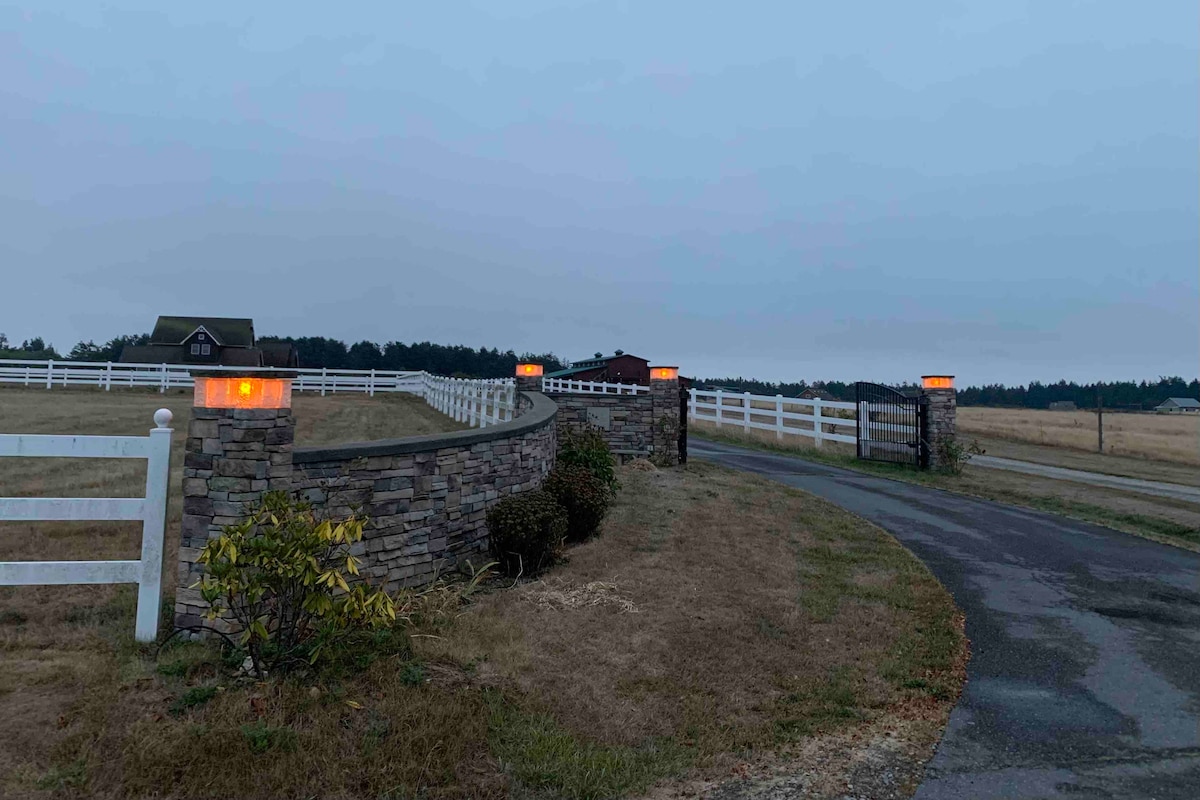 An inviting approach to the property is shown, featuring a curved driveway lined with stone columns that have soft lighting. White fencing and open fields can be seen in the background, creating a serene atmosphere as dusk settles.