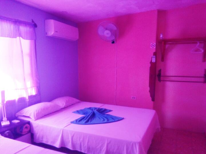Quarto 1